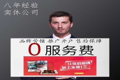 XX领域竞价广告的投放策略及效果展示